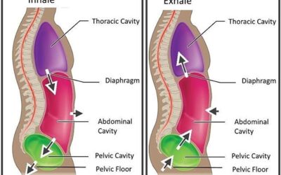 Breathing matters … your core, pelvic floor & prostate may depend on it!