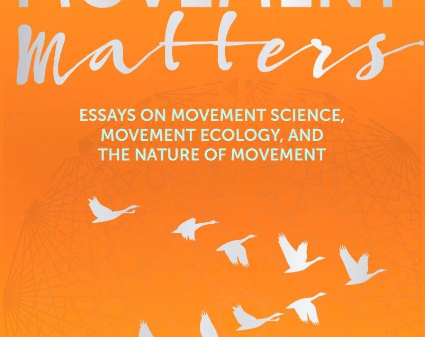 Movement Matters